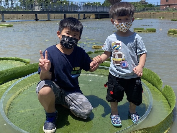疫情警戒降級拼觀光　桃園邀你參加2021蓮花季活動
