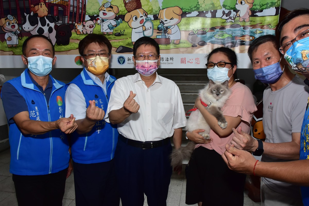 救援受虐貓康復開放認養　首批566人搶當鏟屎官