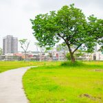 楊梅四維兒童公園遊戲場　打造全齡使用遊憩空間