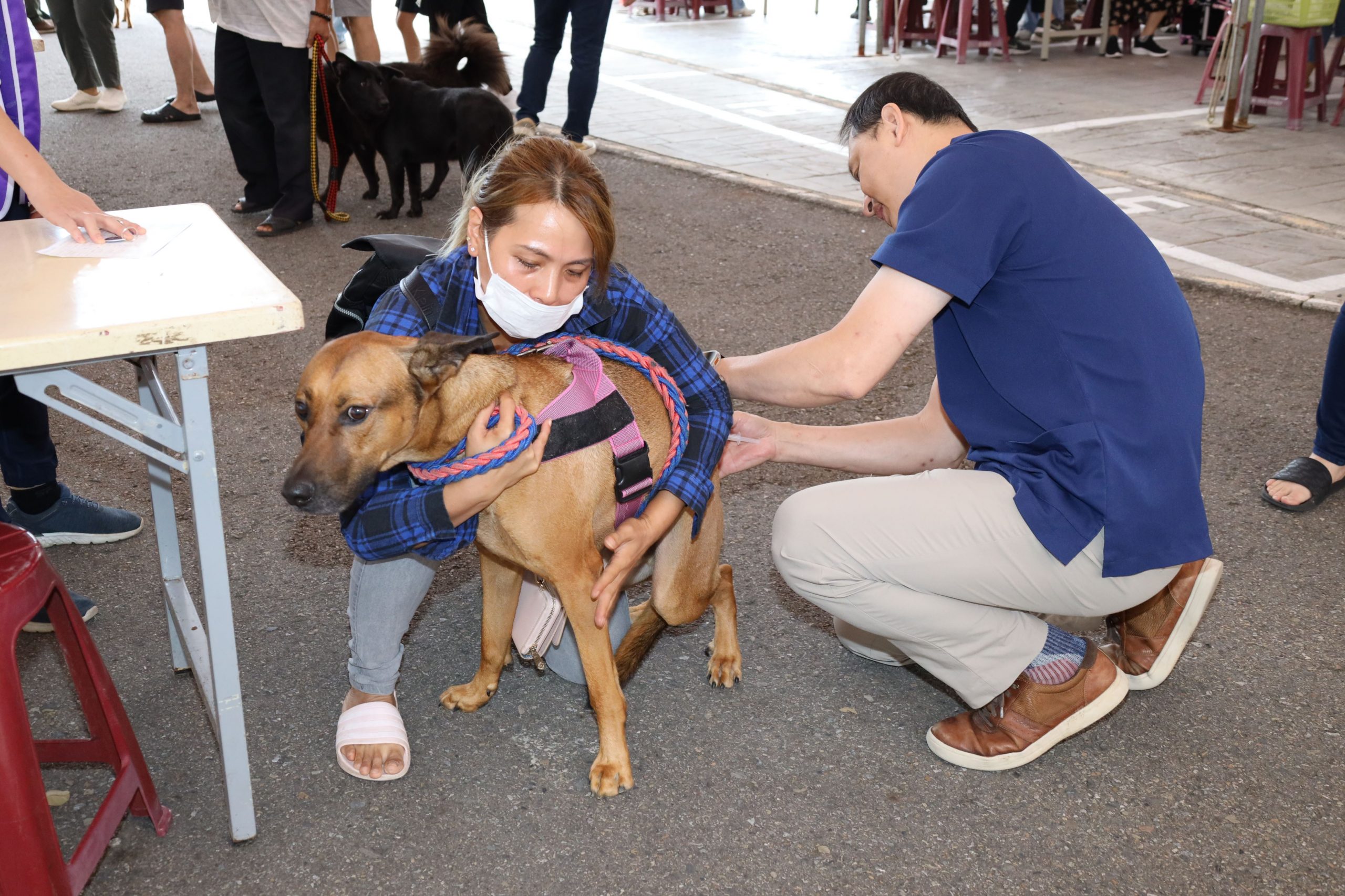 免費疫苗防範狂犬病 副縣長突提此事