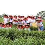 南霸天跨界教育 茶之魔手與在地國小共創「最香的畢業禮」