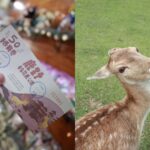 台東親子一日遊｜來鹿野不只有熱氣球可以玩 超療癒行程3大景點推薦