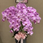高雄蘭花店精選 專業花藝設計 典雅點綴每一個重要時刻