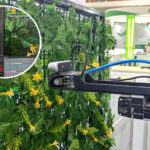 授粉、除草、投餵AI一手包 工研院科技牧場智慧農漁週