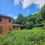 陽明山竹子湖美食推薦 陽明山賞花必訪景觀餐廳季節限定花景