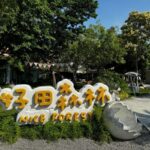 彰化景點｜週末療癒新玩法 解鎖彰化田尾一日遊路線，森林樂園、霜淇淋、煮茶美拍