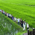 「尋Way花路」街區走讀活動報名踴躍深獲好評