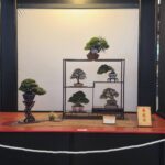 「2025世界盆栽展」盛大開幕 王惠美邀世界看見台灣