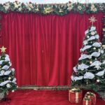 宜蘭首創「策展式」萌寵樂園！星夢森林劇場變身聖誕夢境