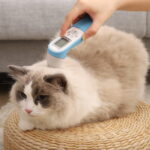 台北寵物節聚焦創新技術 PetiMeti智能按摩梳引領健康新浪潮