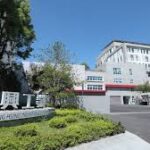 伸興11月營運蹲馬步 年減近3成