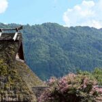 日本關西行程悄悄夯起來！內行人搶搭「這班神秘列車」卡友限定玩法曝光