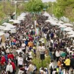 2026台南甜點節「氣味漫遊」全台最大甜點市集 1/17-1/18全糖登場