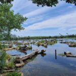 東南亞深度旅行熱潮來襲 台北旅行社客製化行程打造專屬旅遊體驗