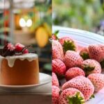 全台草莓園懶人包 草莓控集合 7大夢幻採草莓園、草莓甜點一次吃透透