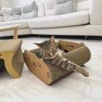 耐抓貓抓板推薦 結構穩定、掉屑少 用得更安心更長久