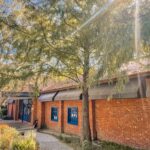 「春光森林野餐日」邀請親子家庭共創最溫柔的週末時光