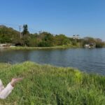 鄭旭凱：新豐綠寶石 籲活化埤塘地方創生