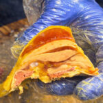 新北雞肉專賣店 兄弟接棒市場老攤 開創人氣熟食新路線