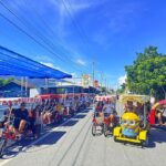 池上電動車自由行正夯！半日行程輕鬆暢遊伯朗大道、金城武樹