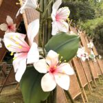 四月雪妝點群山 桐花祭「浪漫桐聚」