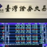 證交所以創新板打造「群山生態圈」