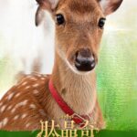 星夢森林劇場跨界攜手「肽晶奇」四大動物明星化身保養大使萌翻美妝圈