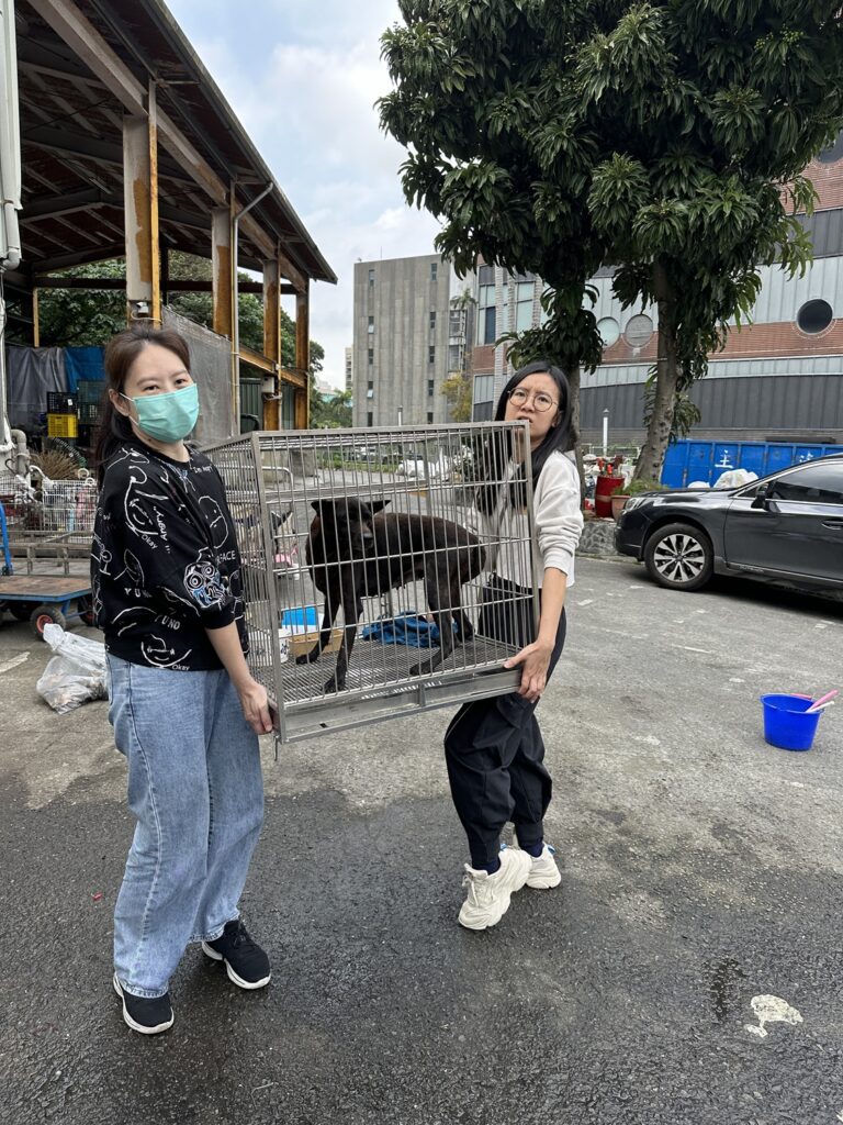 動保人員於現場協助犬隻移動及照護工作。毛孩時代長期支持動保團體,透過公益捐贈關注更多需要幫助的毛孩。(圖/品牌提供)